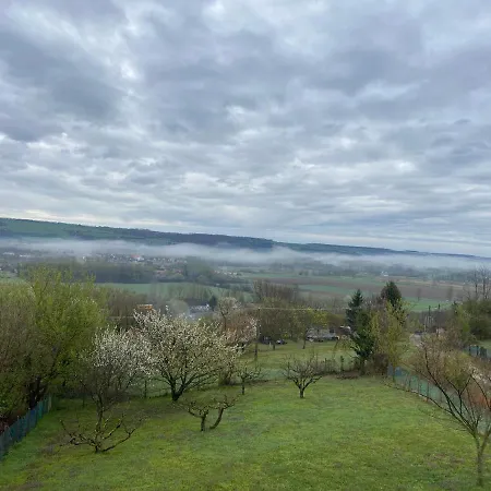 Ginkgo House بيت ضيافة 4*