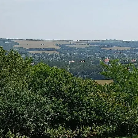 Ginkgo House بيت ضيافة Kehidakustány