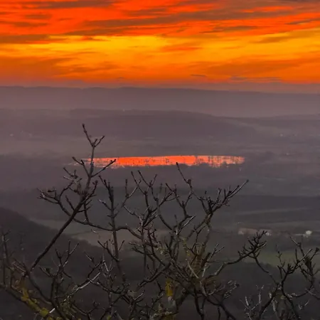 Ginkgo House بيت ضيافة