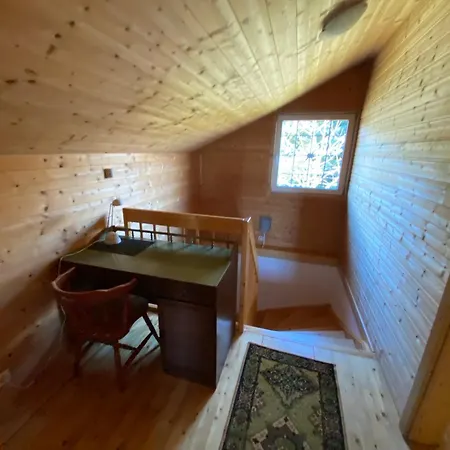 Pensjonat Ginkgo House Kehidakustány