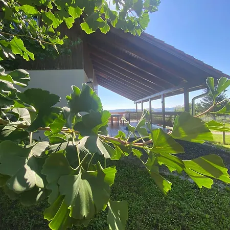 Pensjonat Ginkgo House 4*