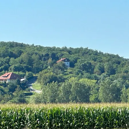 Ginkgo House Kehidakustány