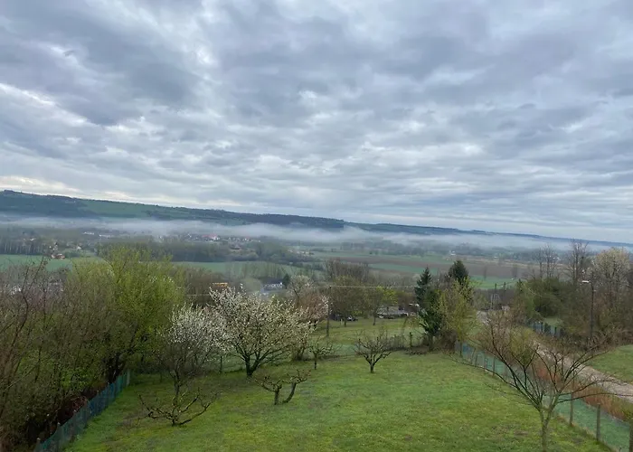 Ginkgo House בית הארחה 4*