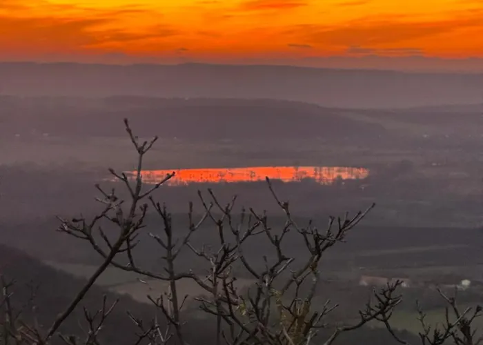 Ginkgo House בית הארחה
